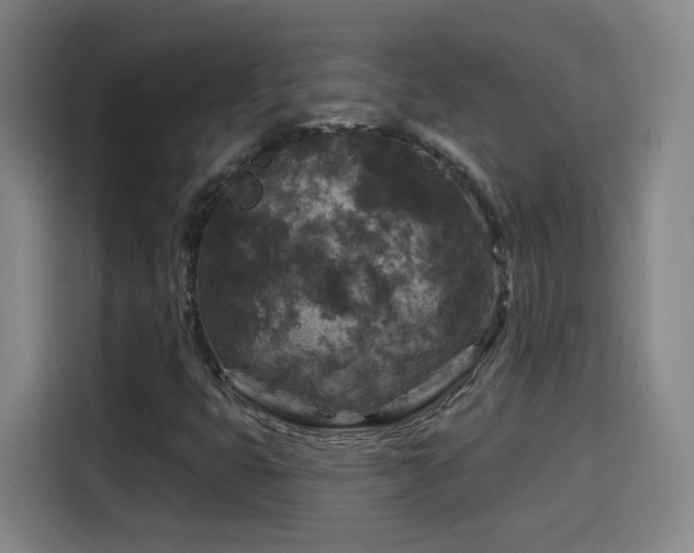 X0000114441399200910161346