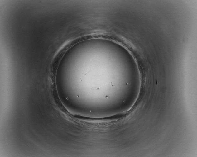 X0000114441400200910161346