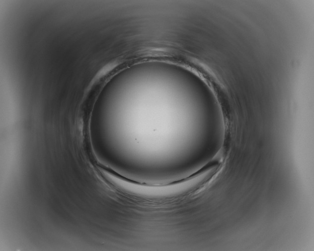 X0000114441402200910161346
