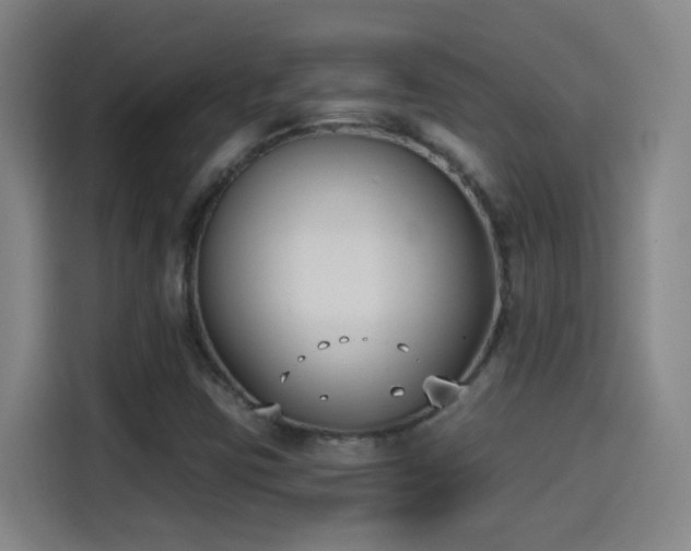 X0000114441403200910161346