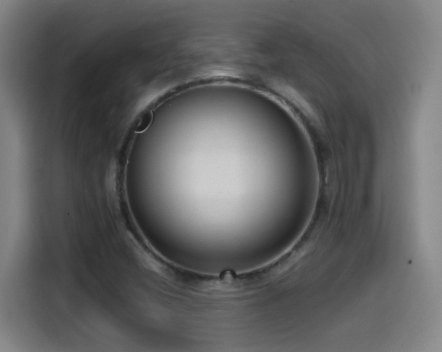X0000114441404200910161346