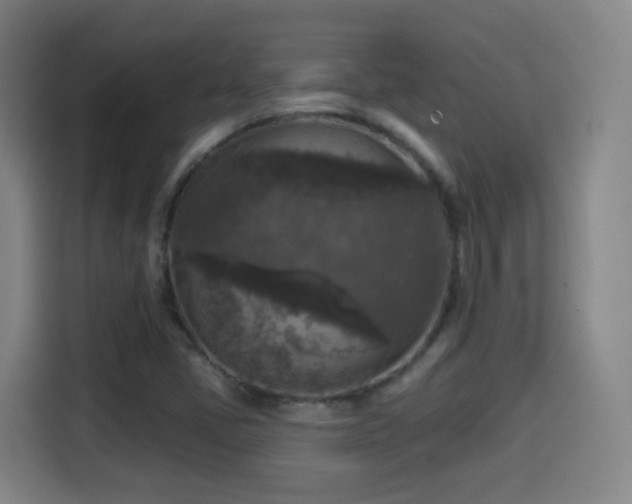 X0000114441405200910161346