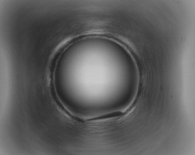 X0000114441406200910161346