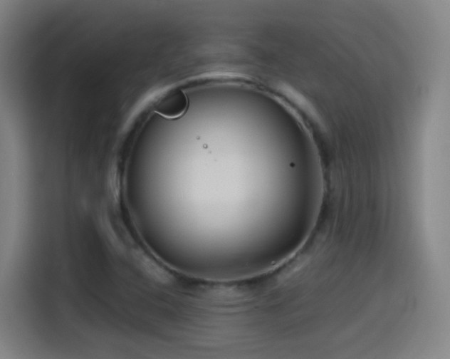 X0000114441408200910161346