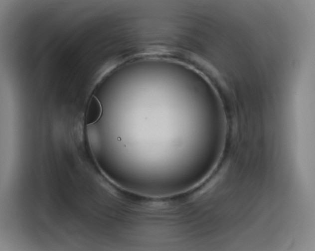 X0000114441409200910161346