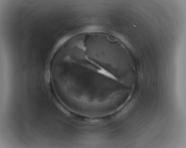 X0000114441413200910161346