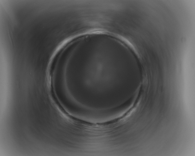 X0000114441414200910161346