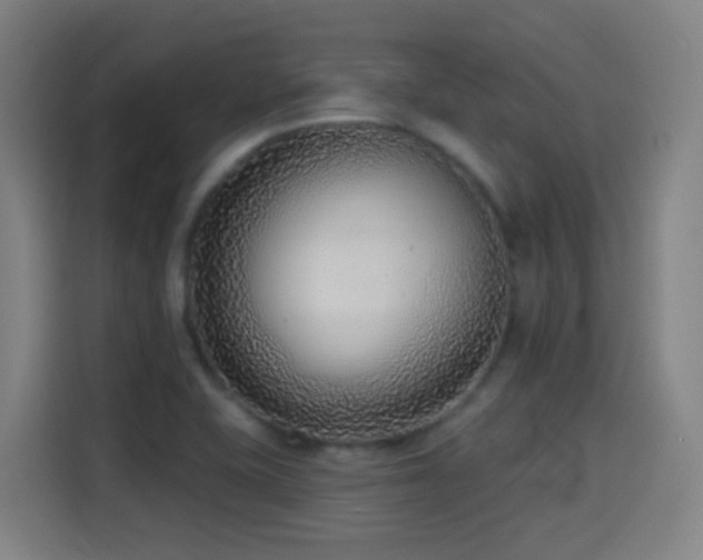 X0000114441415200910161346