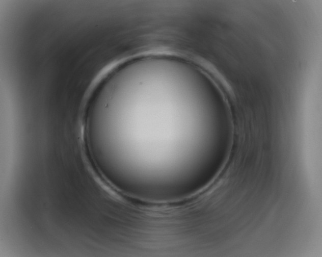 X0000114441416200910161346