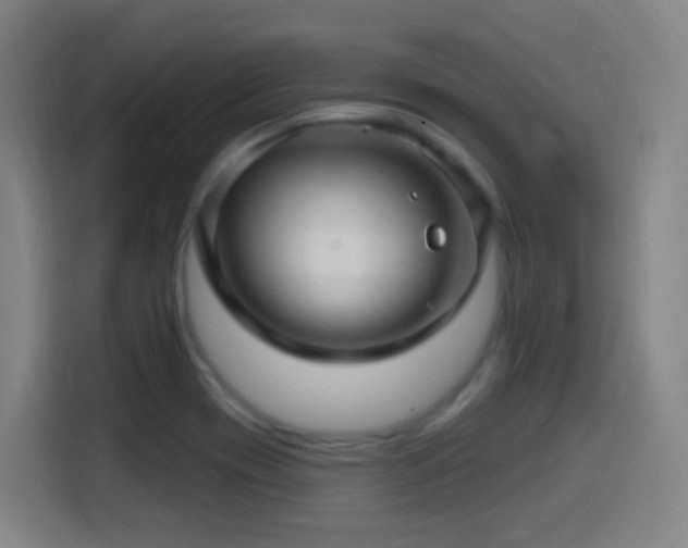 X0000114441417200910161346