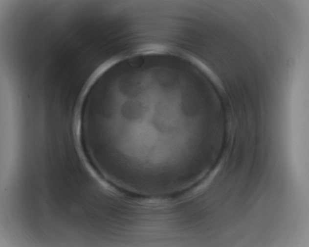 X0000114441418200910161346