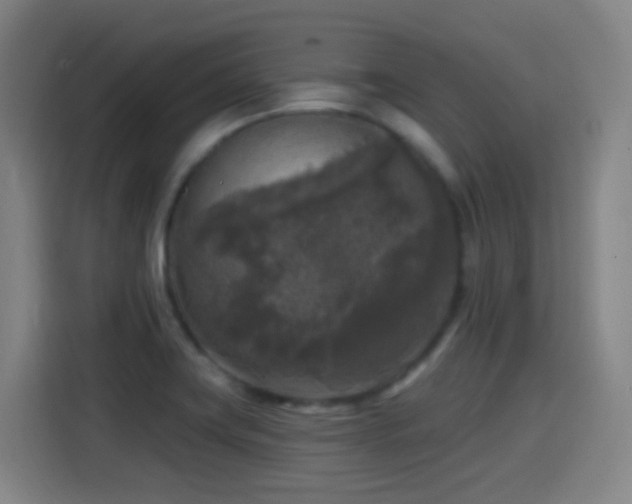 X0000114441419200910161346