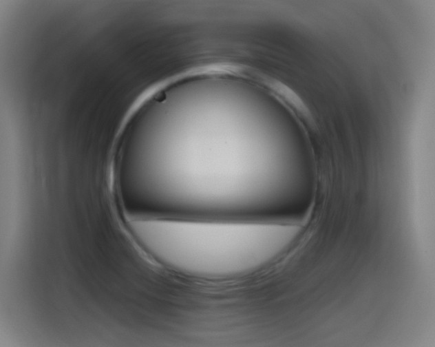 X0000114441420200910161346
