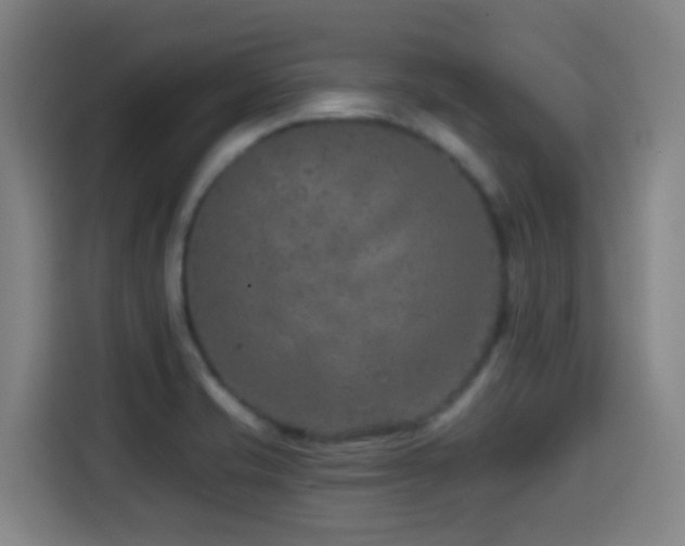 X0000114441421200910161346