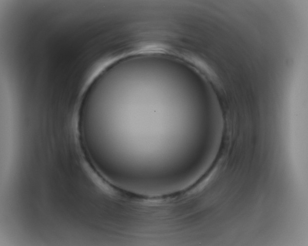X0000114441422200910161346