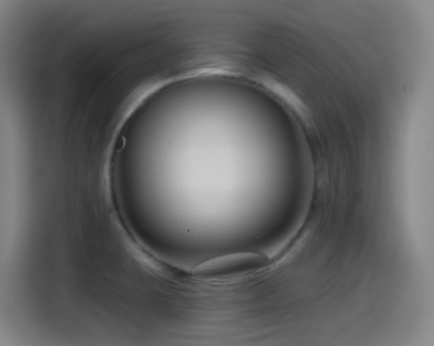 X0000114441423200910161346
