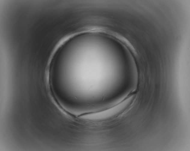 X0000114441424200910161346