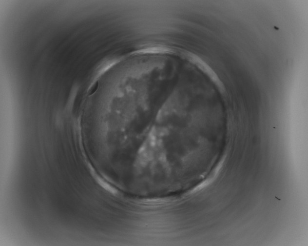 X0000114441425200910161346