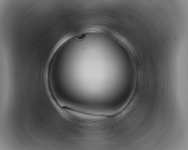 X0000114441426200910161346