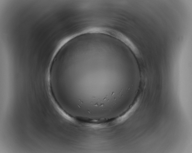 X0000114441428200910161346