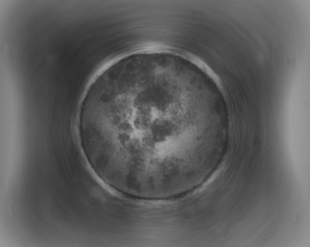 X0000114441429200910161346
