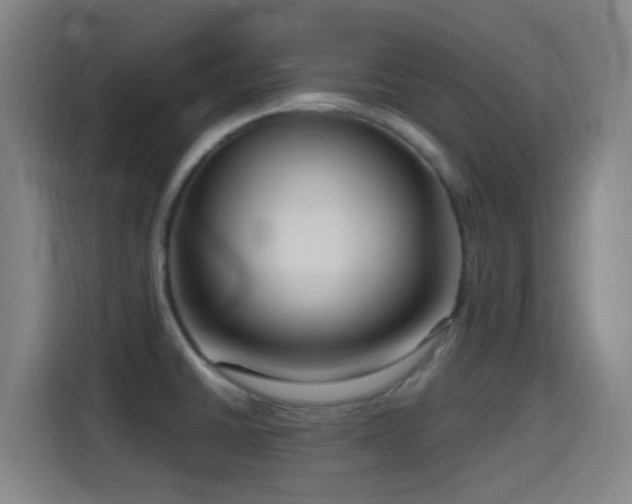 X0000114441430200910161346
