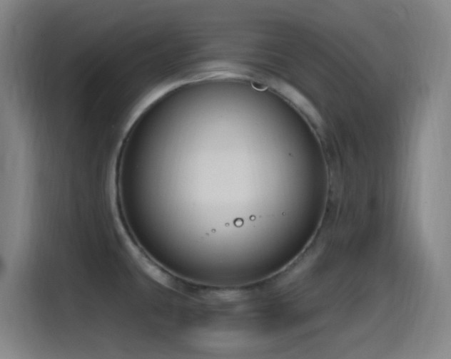 X0000114441431200910161346