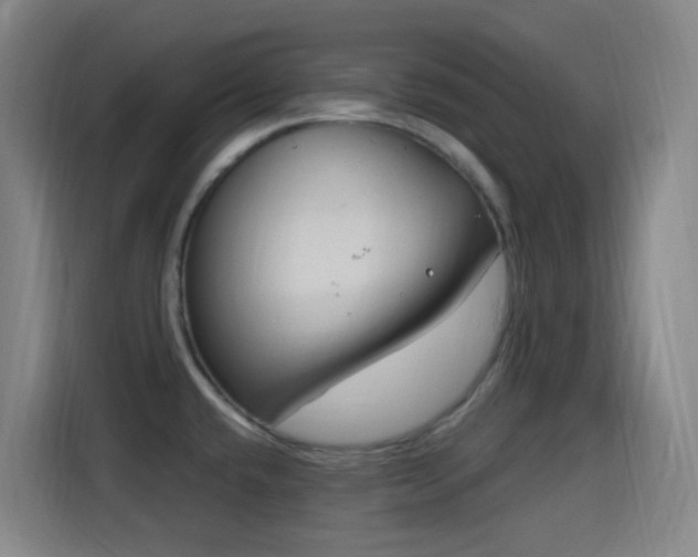 X0000114441432200910161346