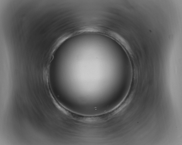 X0000114441433200910161346