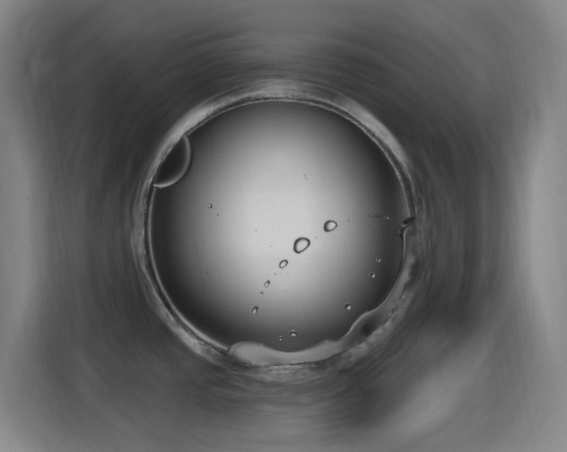 X0000114441437200910161346