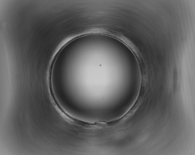 X0000114441438200910161346