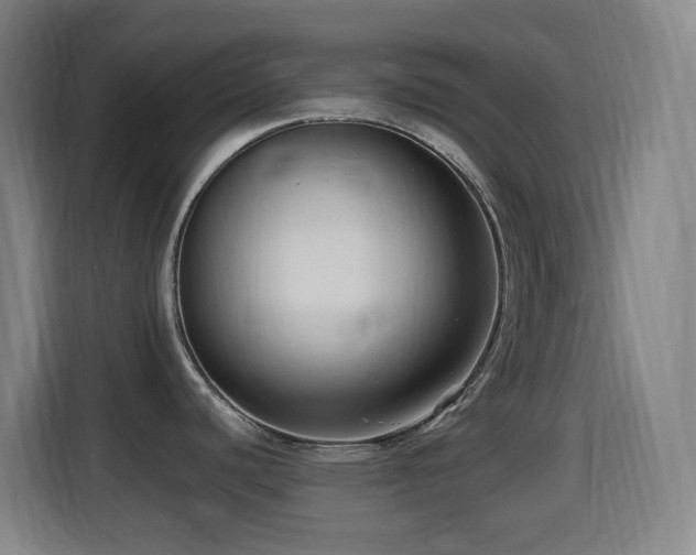 X0000114441440200910161346