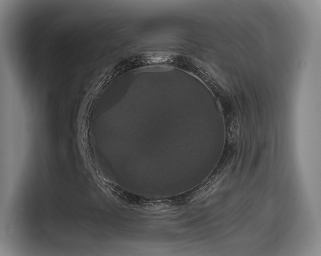 X0000114441441200910161346