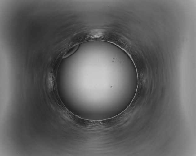 X0000114441442200910161346