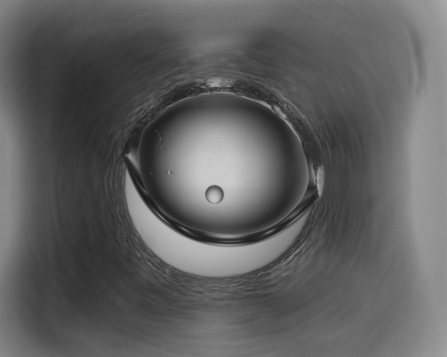 X0000114441443200910161346