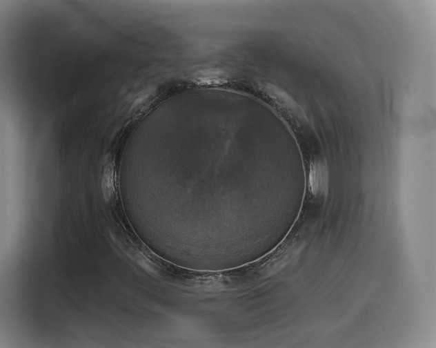 X0000114441444200910161346