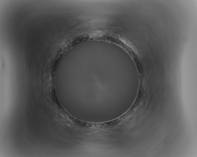 X0000114441445200910161346