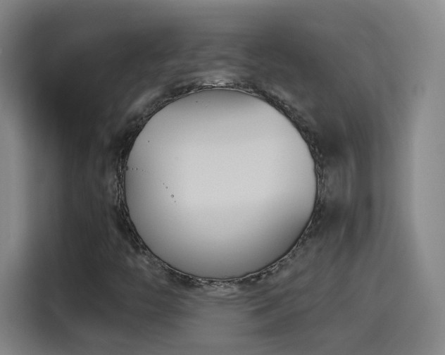 X0000114441446200910161346