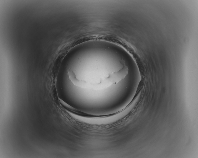 X0000114441447200910161346