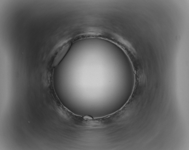 X0000114441448200910161346