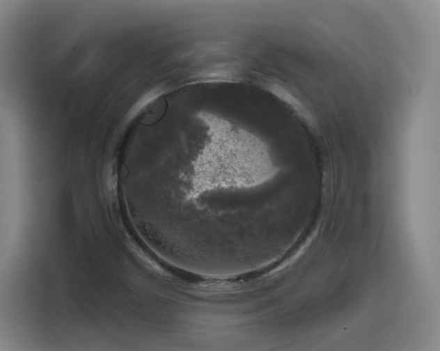 X0000114441450200910161345