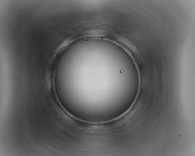 X0000114441451200910161345