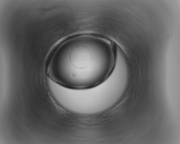 X0000114441452200910161345