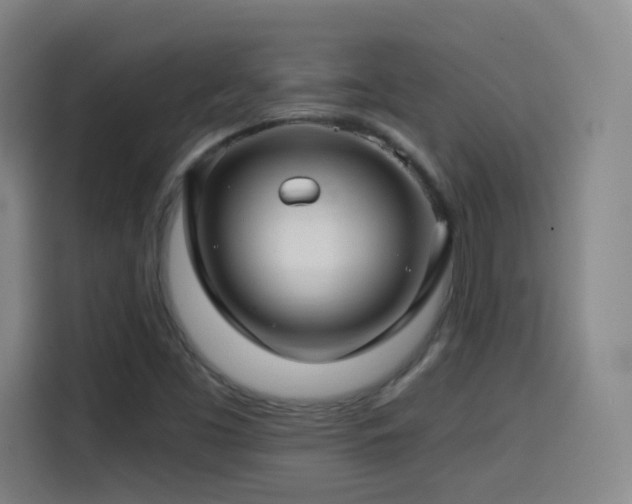 X0000114441453200910161345