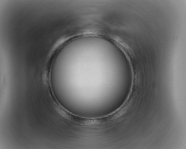 X0000114441454200910161345