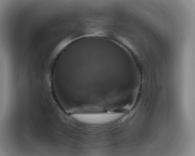X0000114441455200910161345