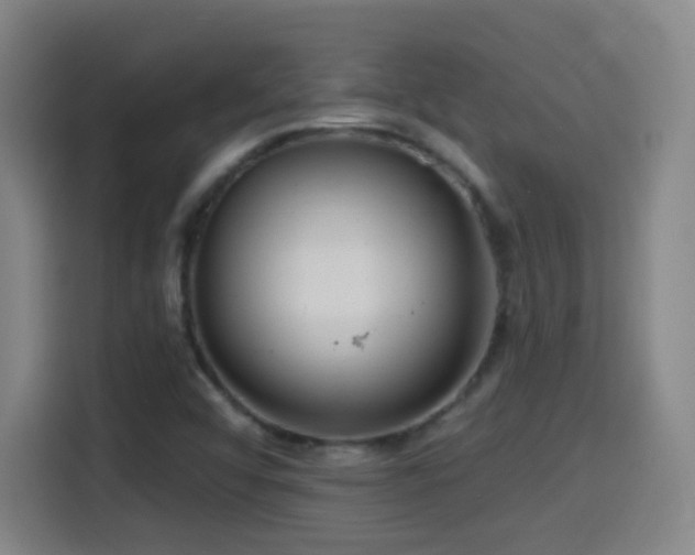X0000114441456200910161345