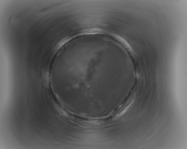 X0000114441457200910161345