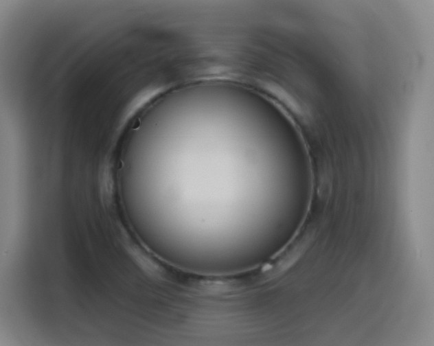 X0000114441458200910161345