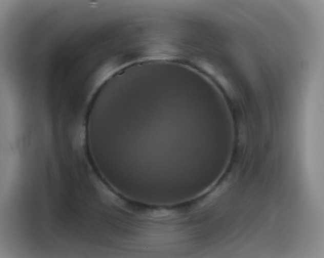 X0000114441459200910161345